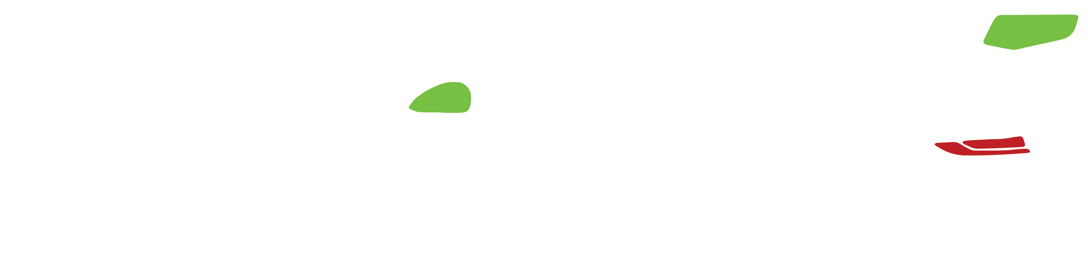 Car Jack Mechanic - Mobile Mechanic Gold Coast